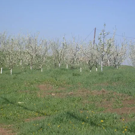 Luxerioese Mit Bergblick Vakantiehuis Donji Ljenobud