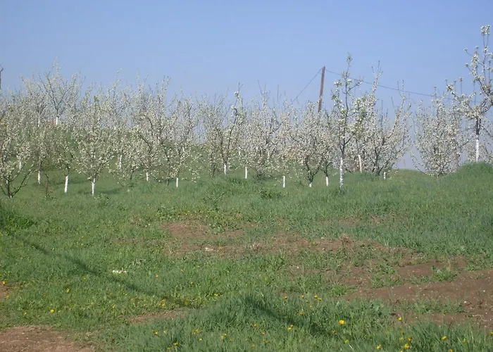 Luxerioese Mit Bergblick 度假居 Donji Ljenobud